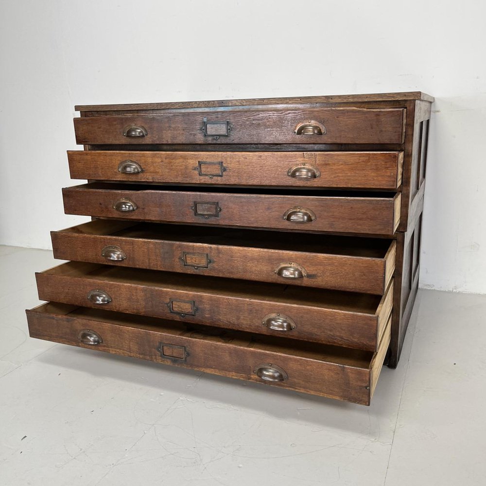 Oak Plan Chest with Brass Handles and Label Inserts, 1930s for sale at Pamono