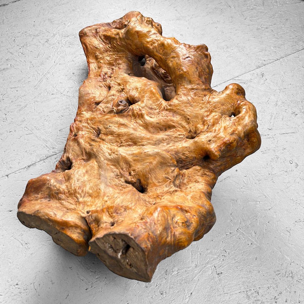Wabi Sabi Burl Wood Decoration, Japan, 1950s for sale at Pamono
