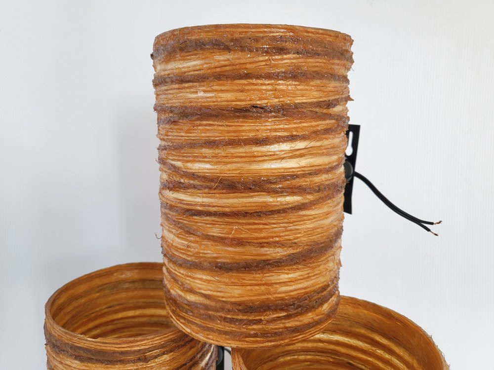 Mid-Century Wall Lights in Resin & Rope from Accolay, 1960s, Set of 3 ...