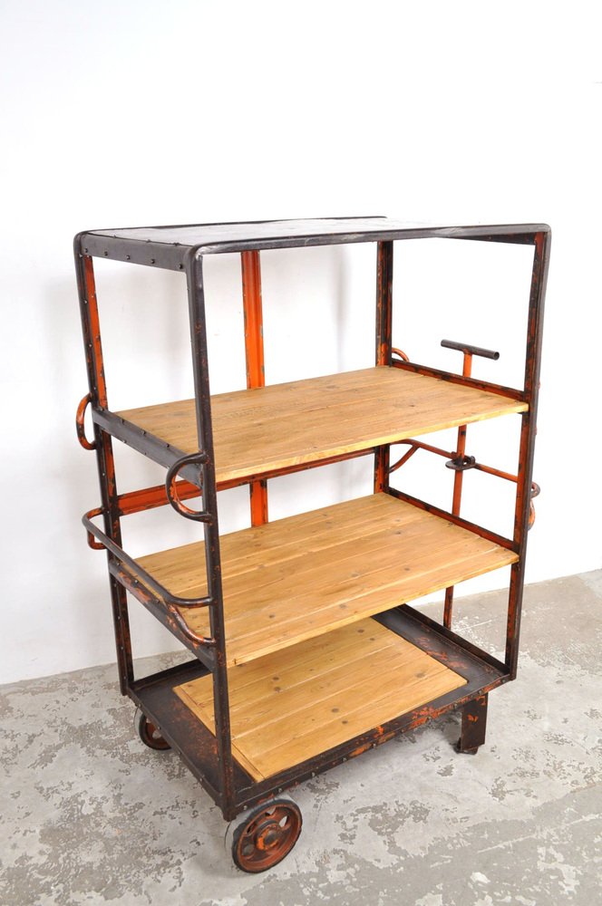 Industrial Shelving Unit on Wheels, 1950s for sale at Pamono