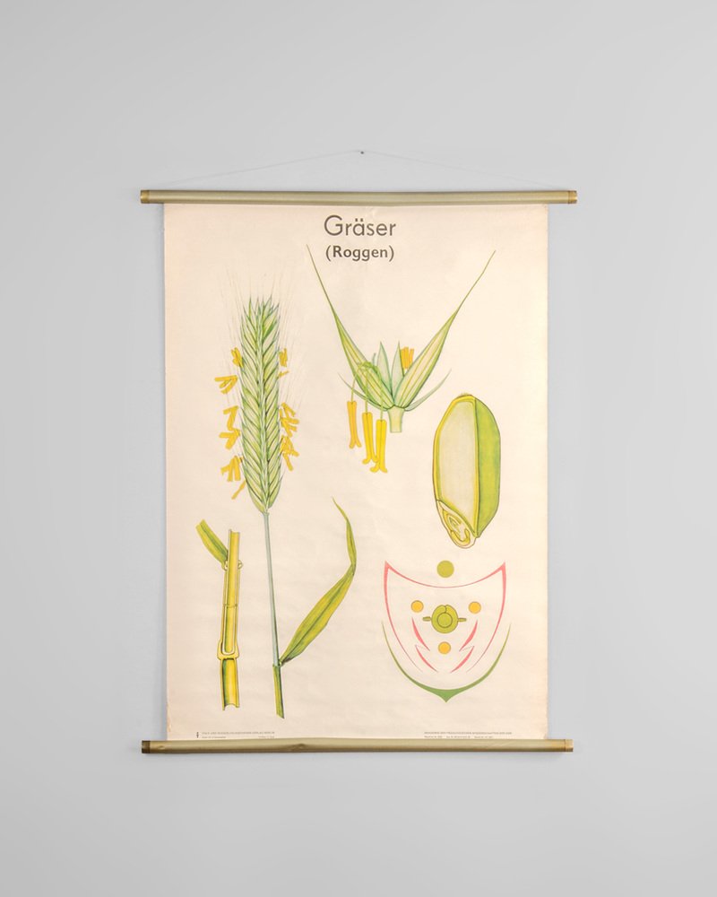 Livre DIE NATUR – Volk Und Wissen, 1980, Pédagogie Nature, Bon état