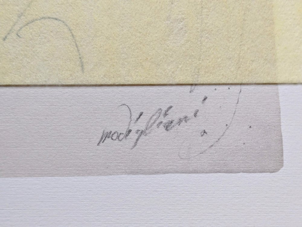 Lithographie Amedeo Modigliani Originale 1952 - Certificat D'Authenticité
