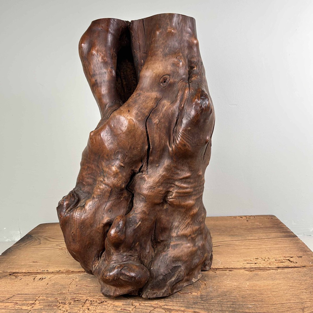 Japanese Decorative Burl Wood Tsuge, 1920s for sale at Pamono