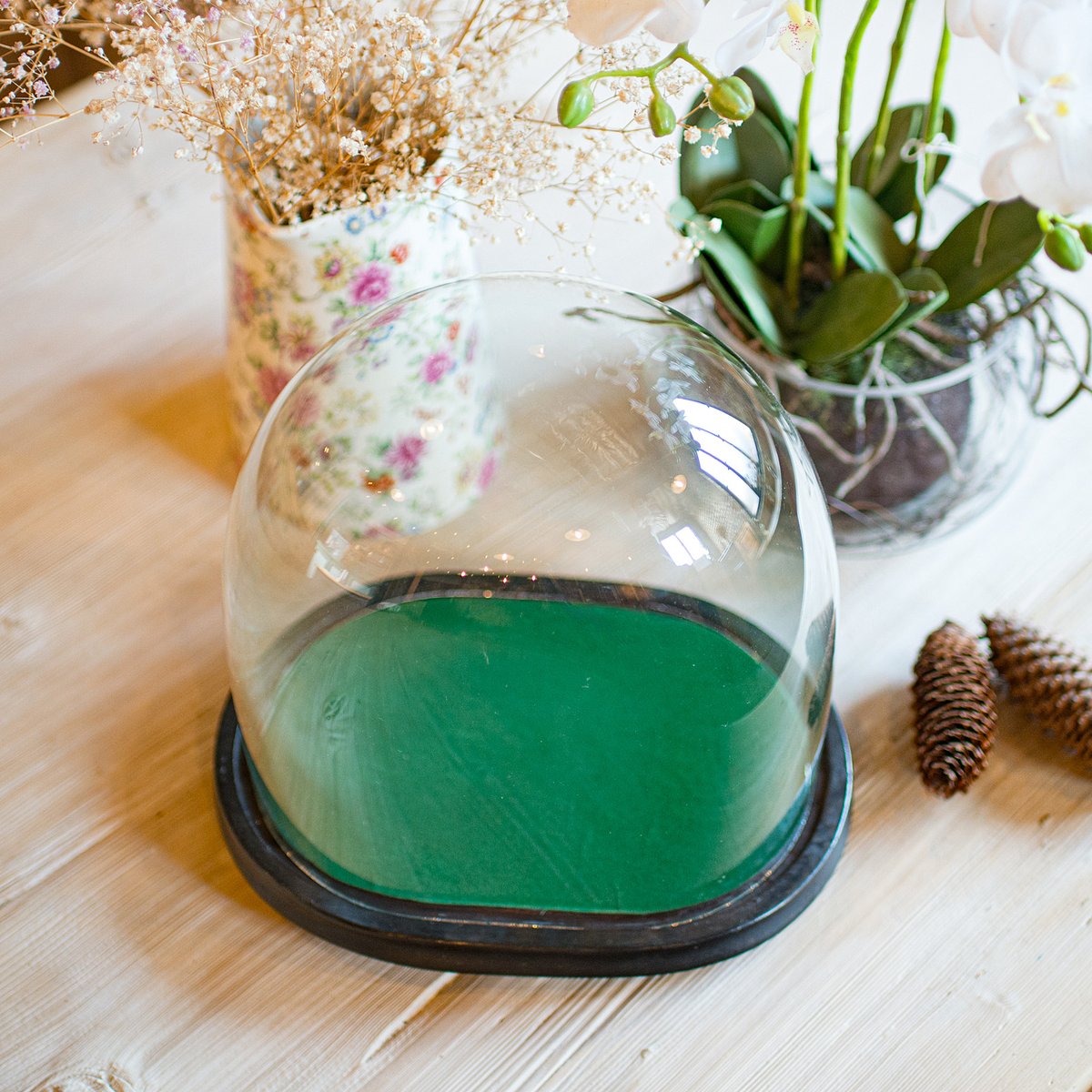 Antique English Clock Dome in Glass & Pine, 1860 for sale at Pamono