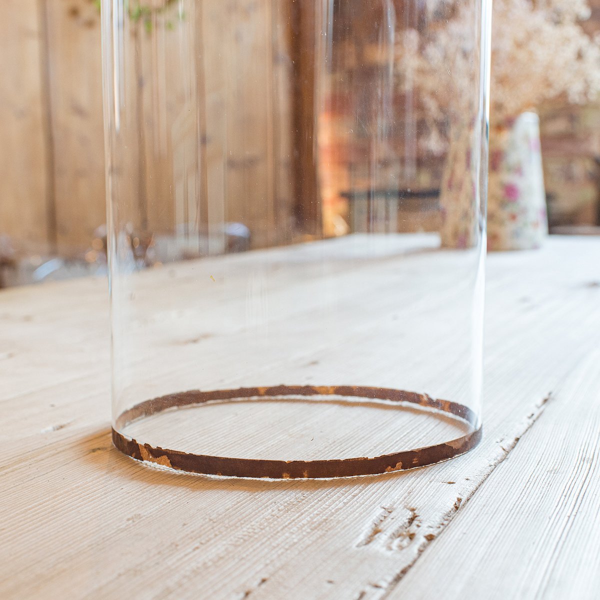 English Astrolabium Glass & Pine Clock Dome for sale at Pamono