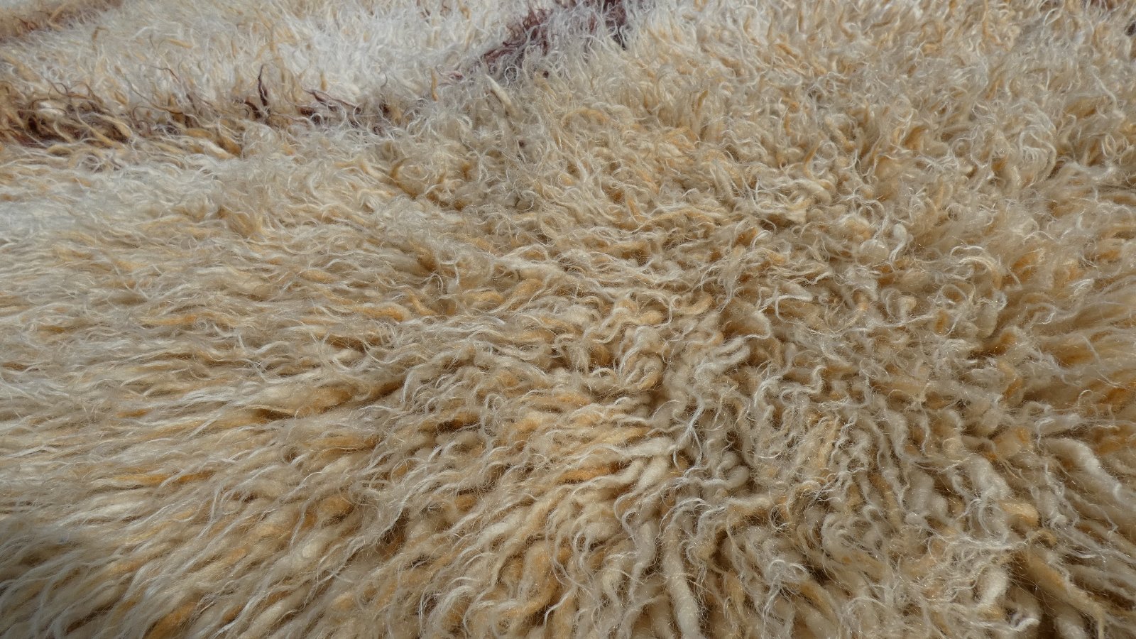 Optical Long-Pile Rug in Pure Wool, Italy, 1960s for sale at Pamono