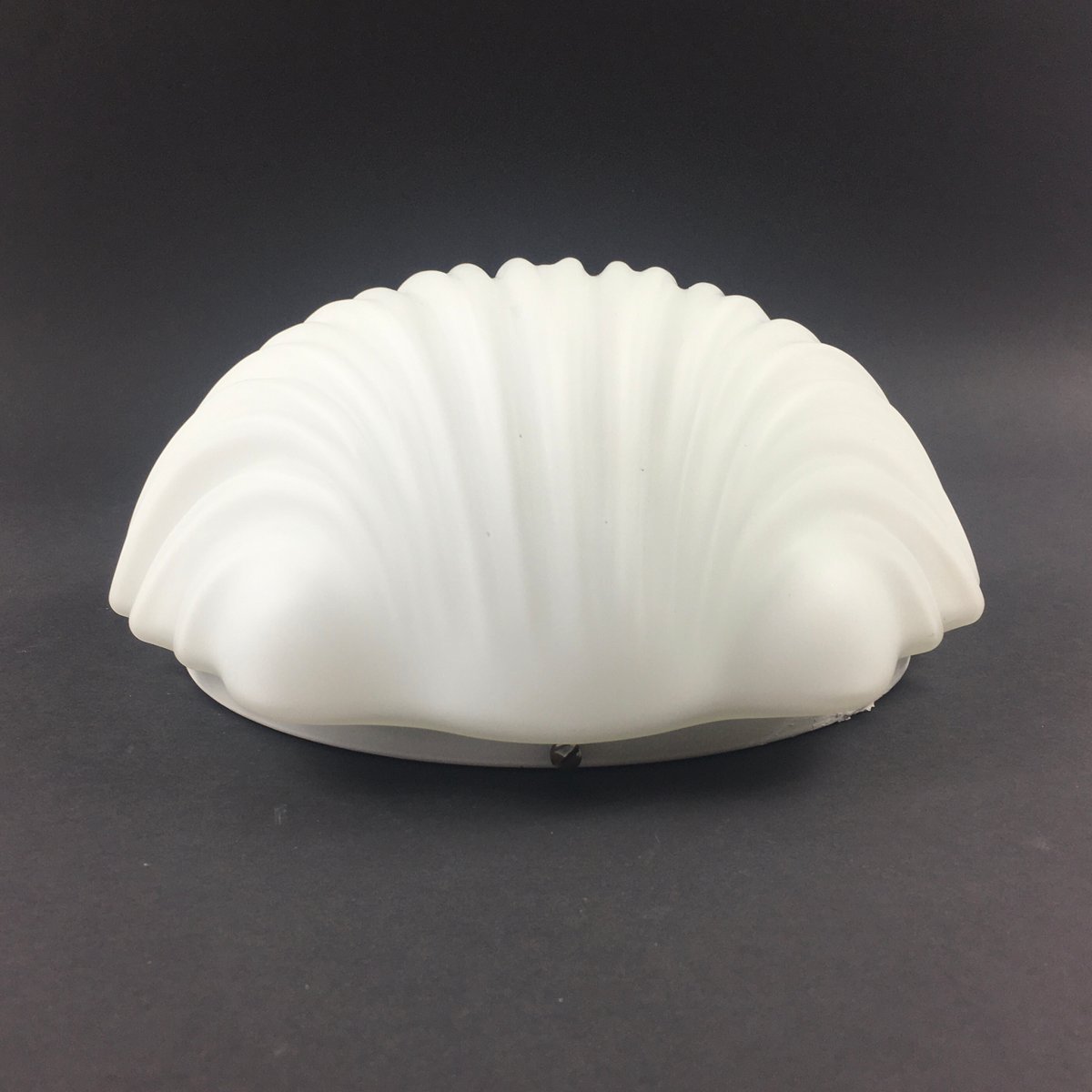 Large Minimalist Opaline Glass Shell-Shaped Wall Light from Limburg ...