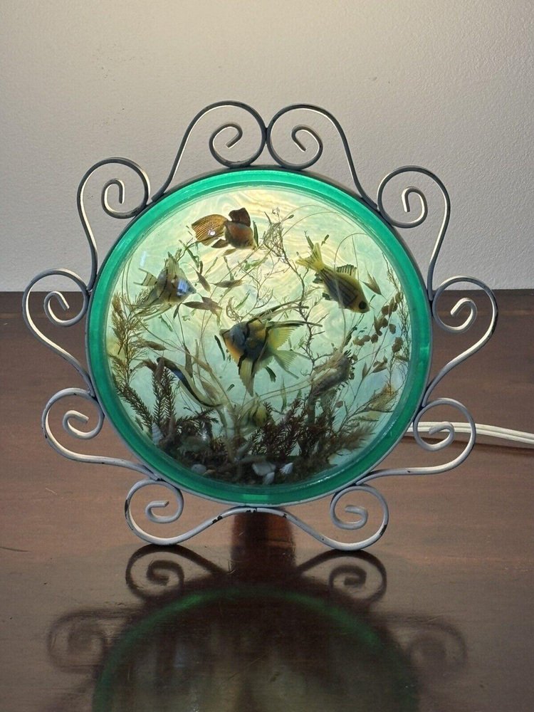 Mid-Century Aquarium Table Lamp, 1950s for sale at Pamono - Goldfish Tank Size For Indoor Mid Century Decor