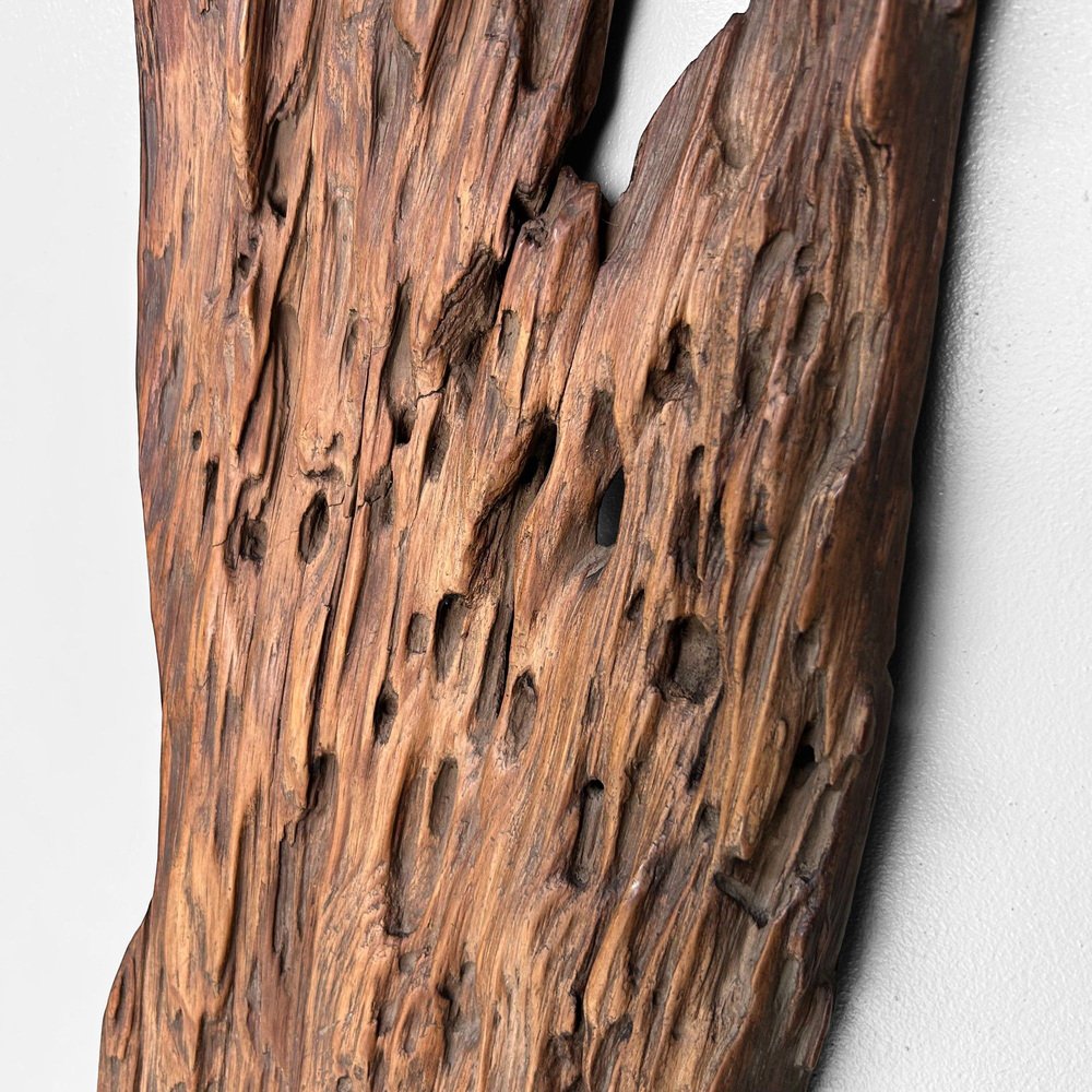 Authentic Japanese Wabi Sabi Wood Object, 1920s for sale at Pamono