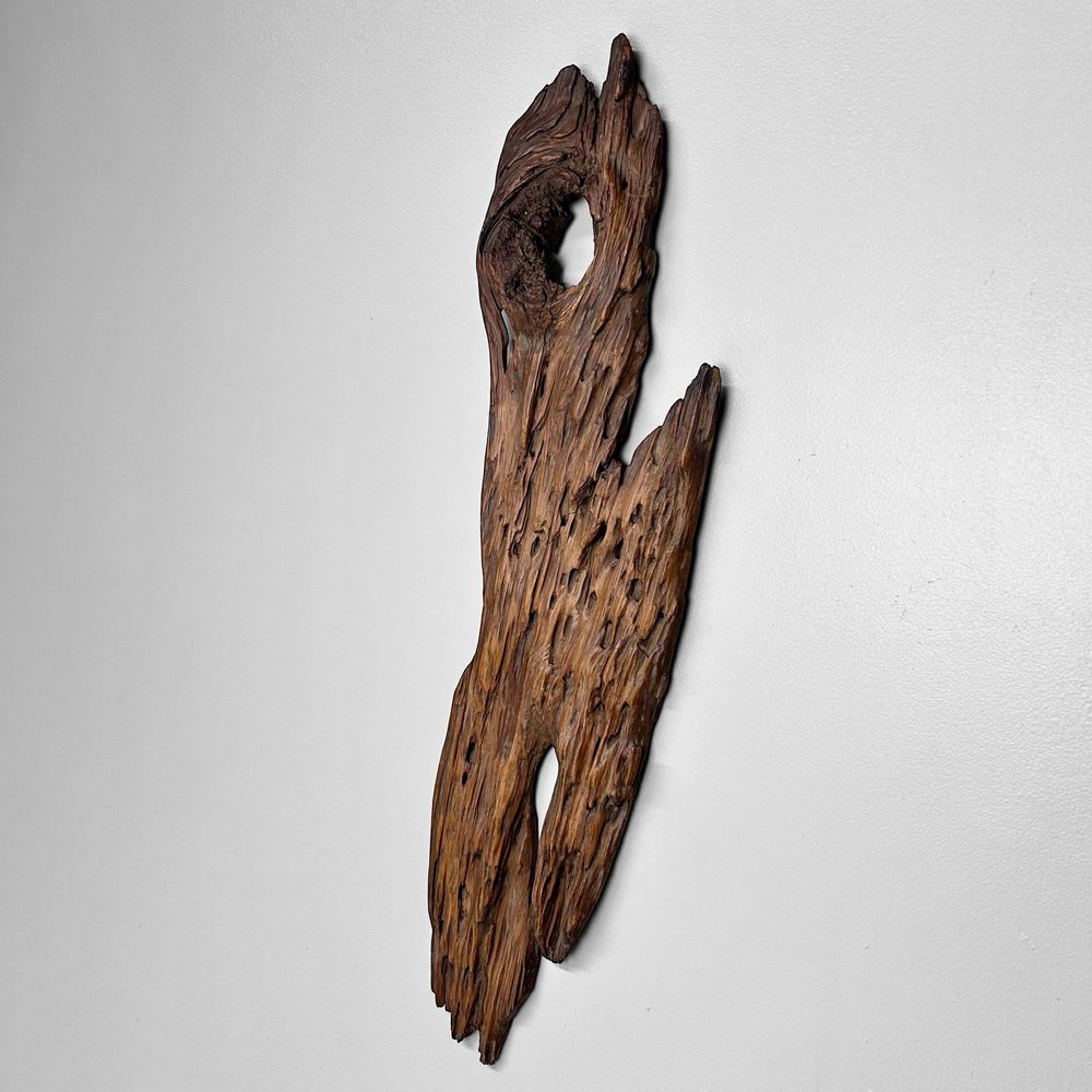 Authentic Japanese Wabi Sabi Wood Object, 1920s for sale at Pamono
