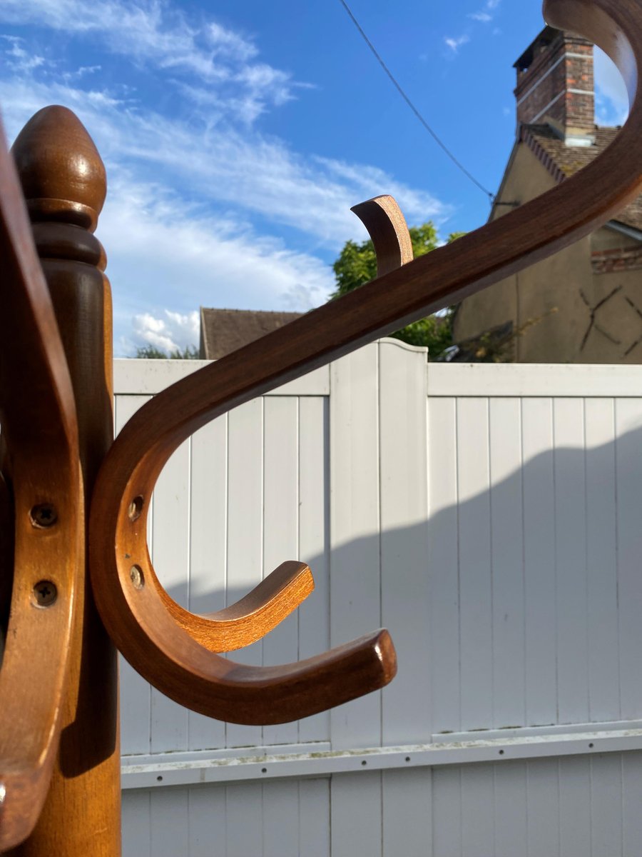 Swivel Parrot Coat Rack in Curved Wood, 1970s for sale at Pamono