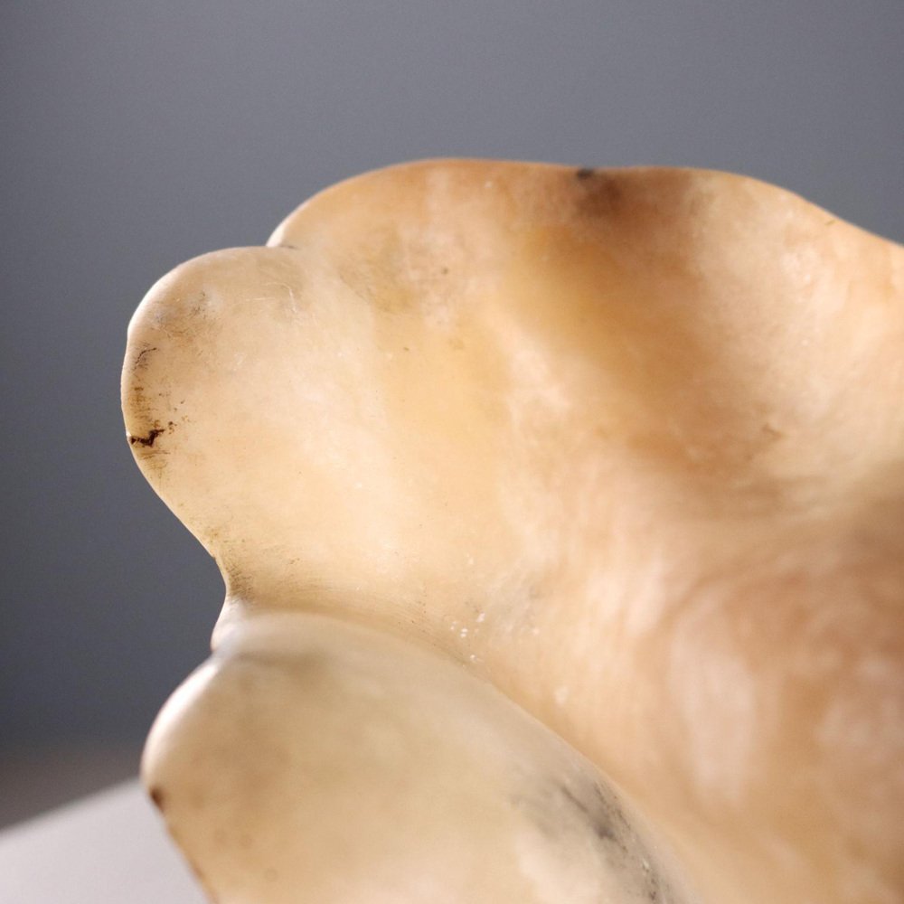 Alabaster Centerpiece in Shell Shape for sale at Pamono