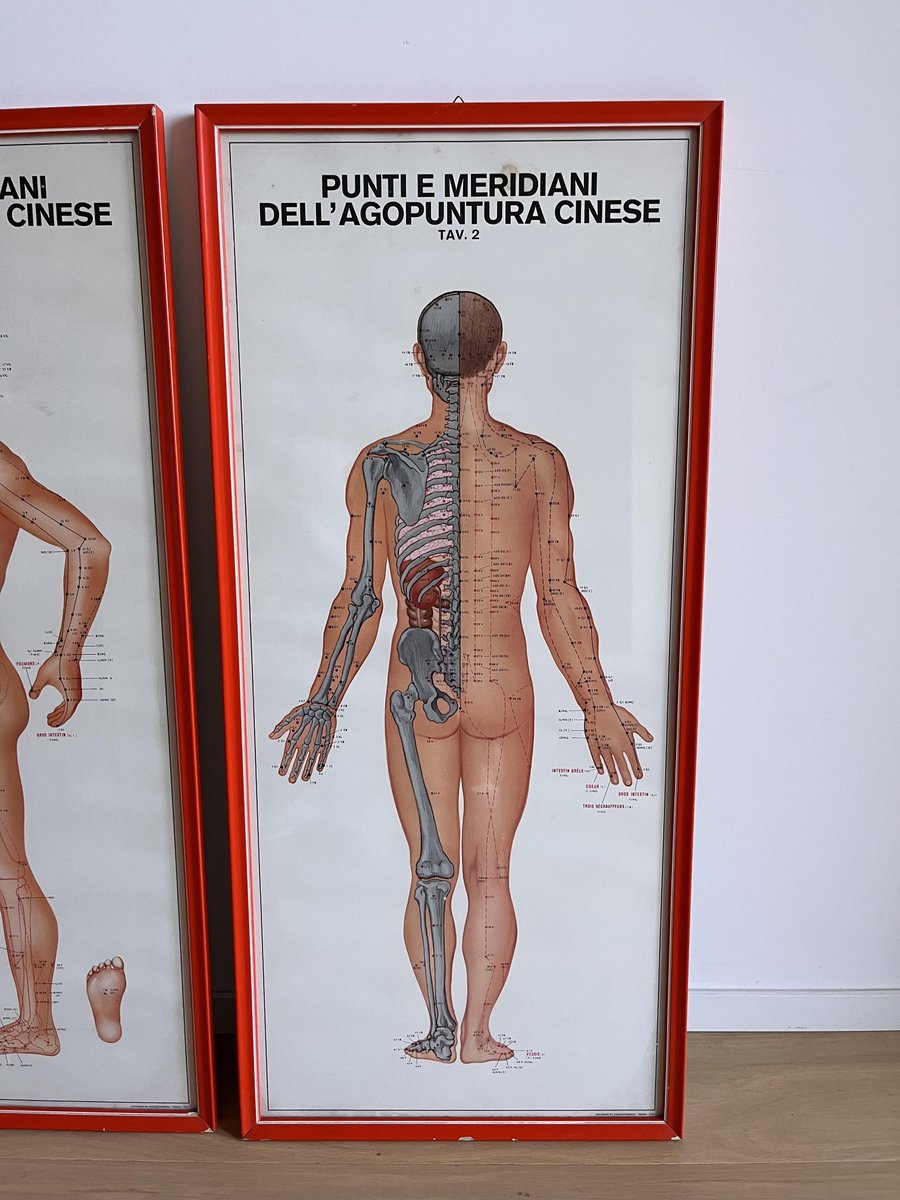 Vintage Chinese Acupuncture Points and Meridian Anatomical Tables, 1960 ...