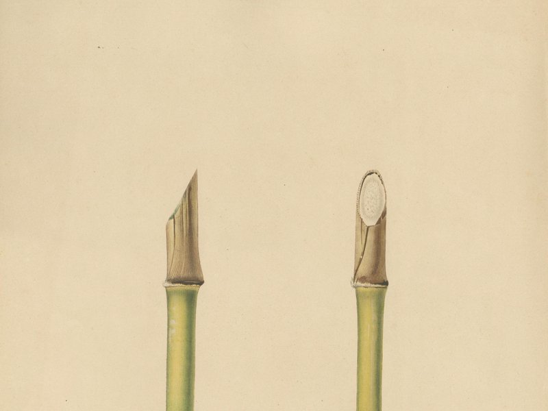 Éplucheur Universel Eplucheur Légumes Manuel Eplucheur Pomme De Terre Econome Legumes Epluche Tomate Poignée Ergonomique Couteau Eplucheur Cuisine Pour Fruits Et Légumes 3 Pièces