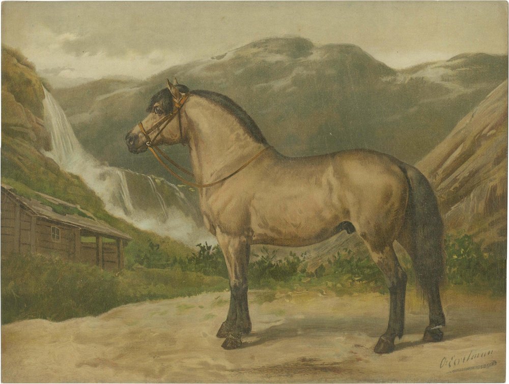 after-eerelman-norwegian-horse-1898-lithograph-for-sale-at-pamono