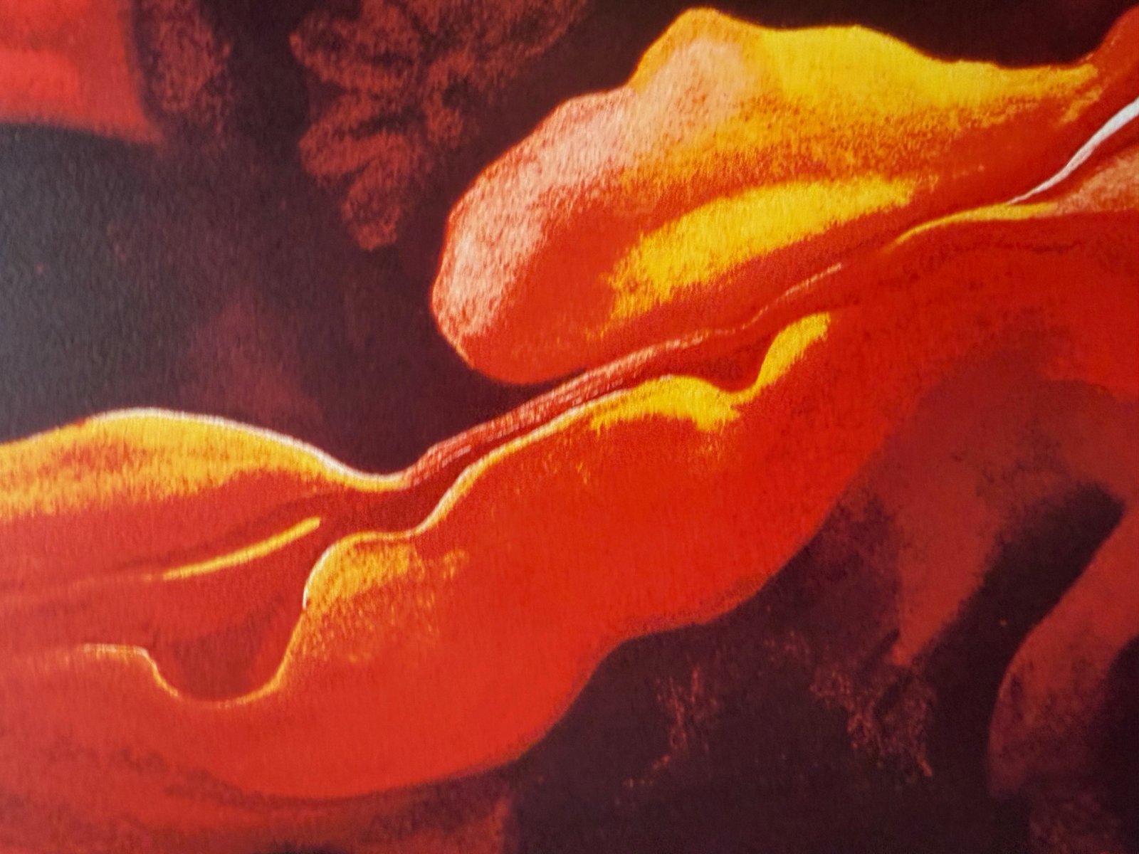 Georgia Okeeffe, Oriental Poppies, Print for sale at Pamono