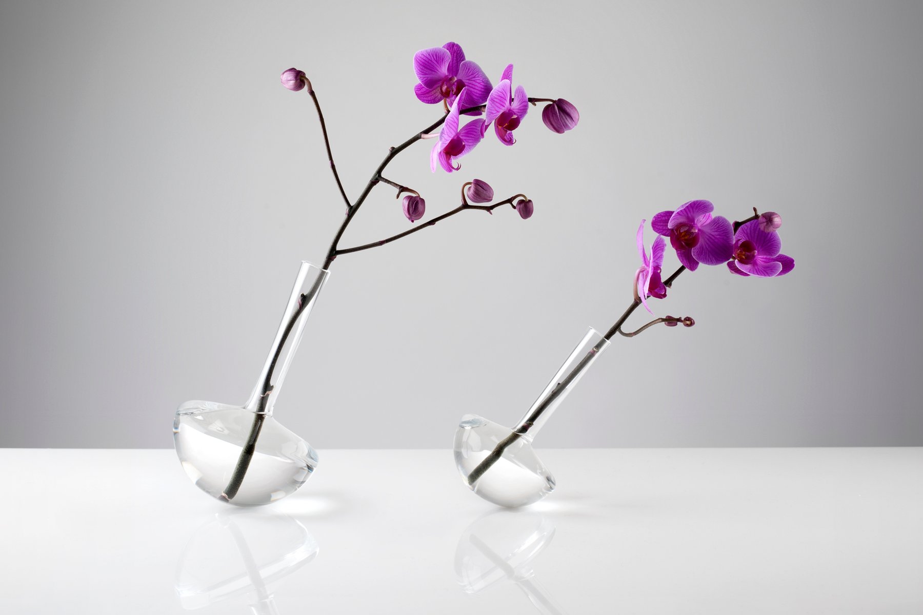Gauge Klarglas Vase Für Einzelne Blume Von Jim Rokos Für Gauge Klarglas Vase Für Einzelne Blume Von Jim Rokos Für