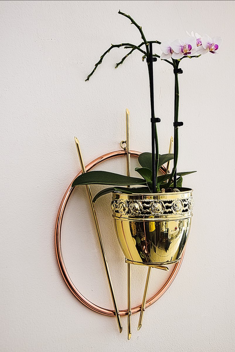 WallMounted Plant Holder, 1950s for sale at Pamono