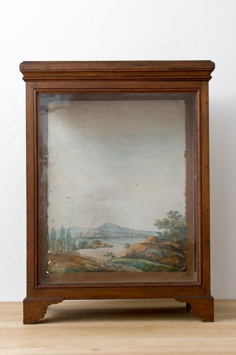 Antique Oak Display Case with Hand Painted Watercolor for sale at Pamono