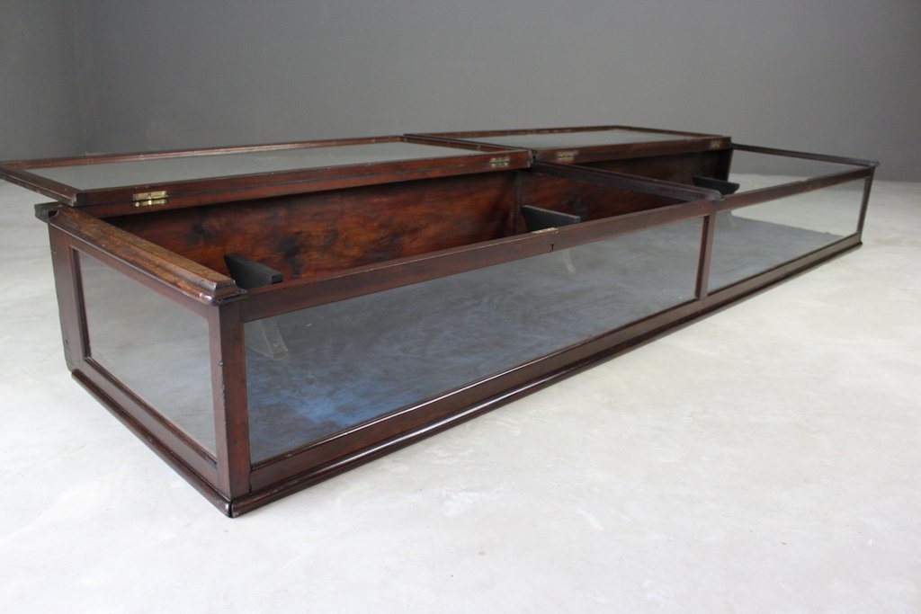 Antique Counter Top Display Case Bei Pamono Kaufen