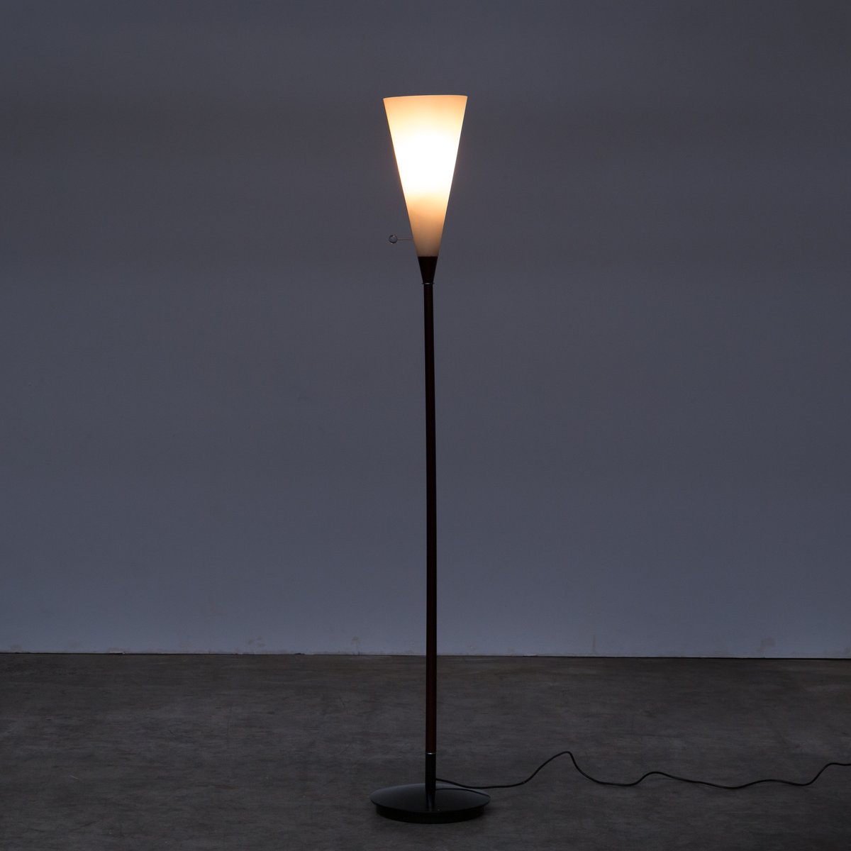 Ambian Floor Lamp By Frans Van Nieuwenborg For Indoor 1980s