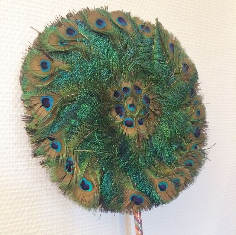 Face porn vintage peacock feather