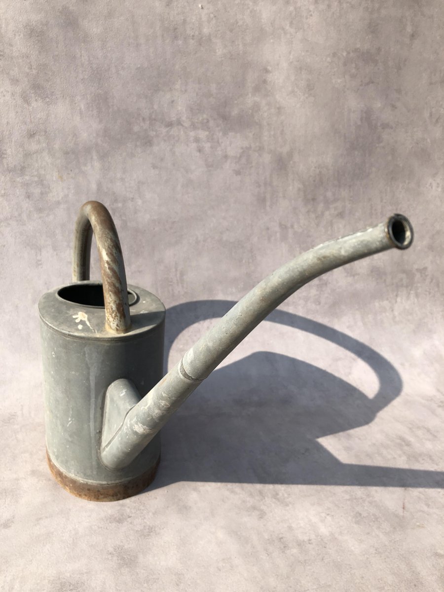 Zinc Watering Can, 1950s for sale at Pamono
