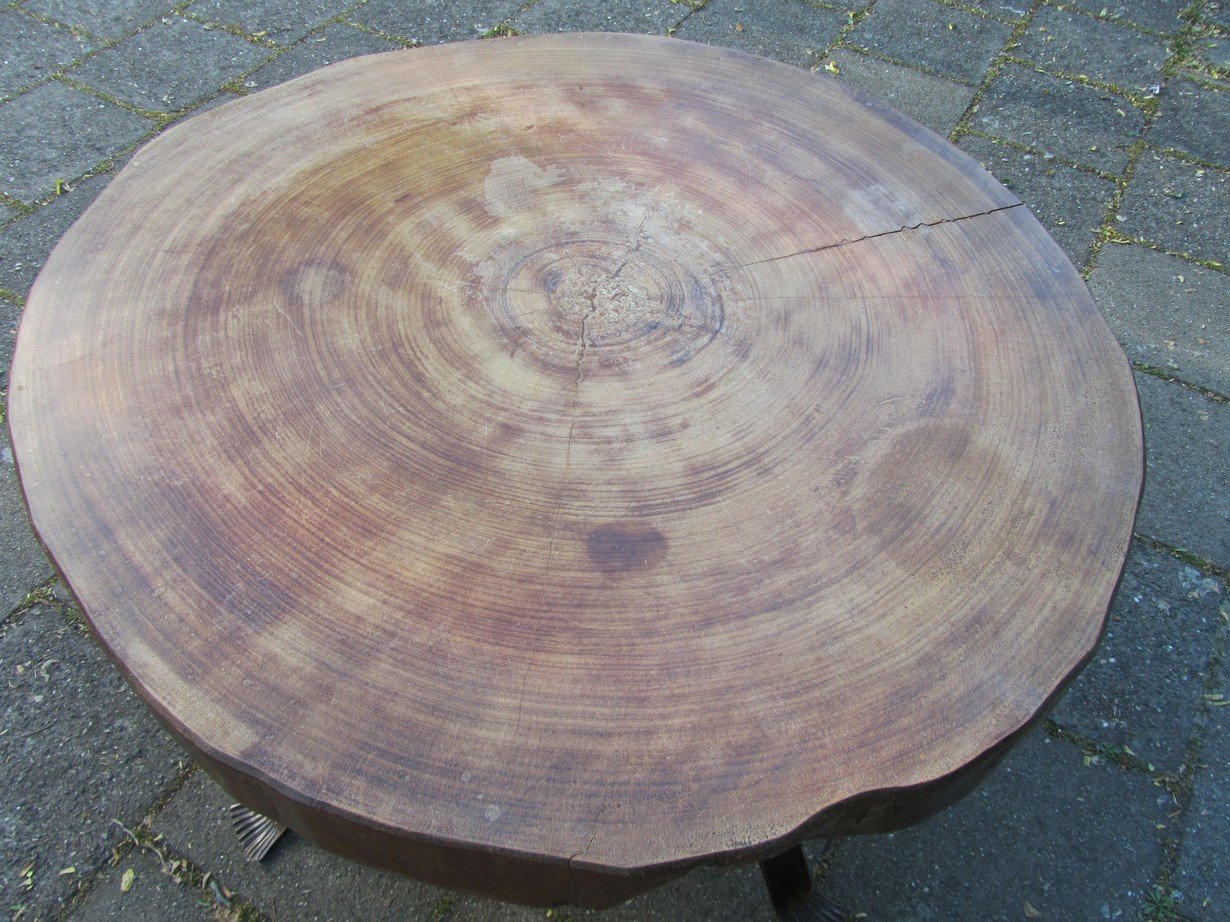 Vintage Tree Trunk Coffee Table for sale at Pamono