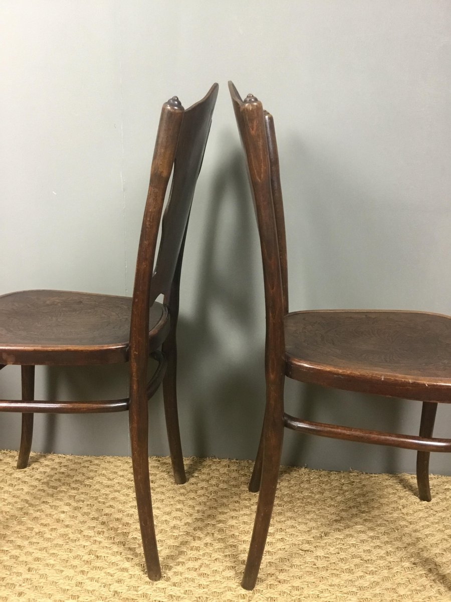 Antique Bentwood Dining Chairs from Jacob & Josef Kohn, Set of 4 for