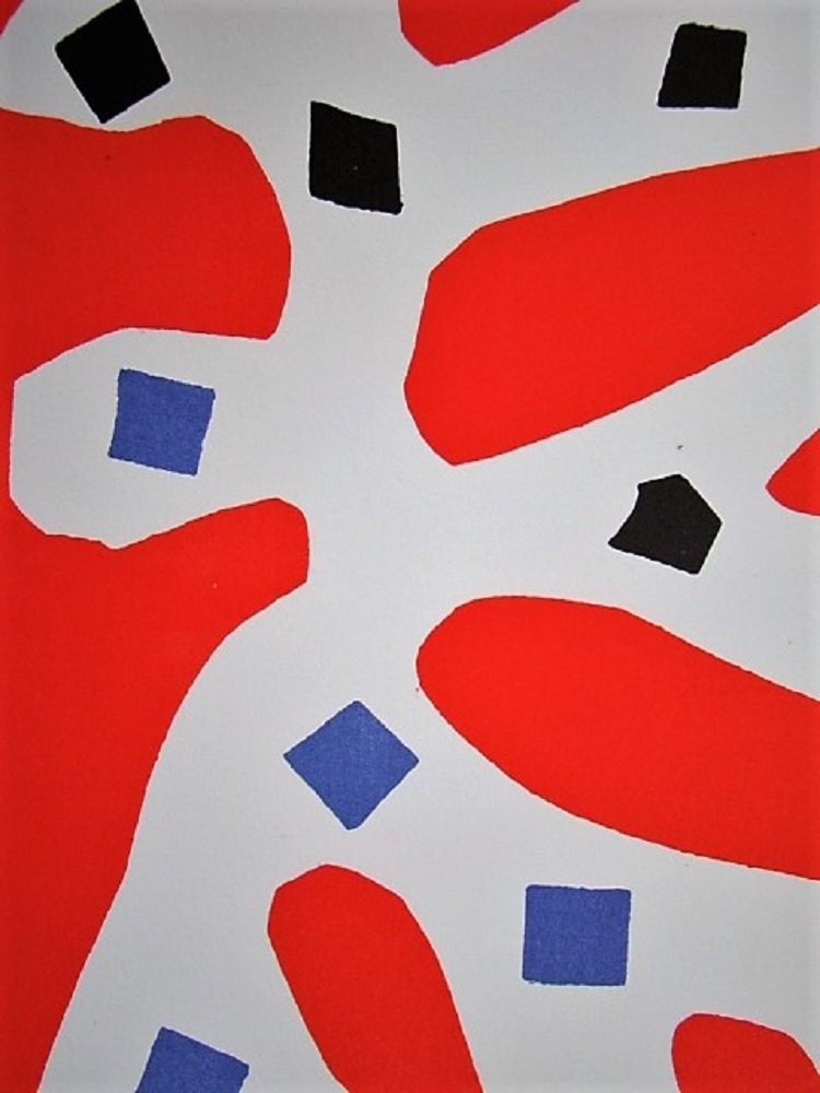 Algue Sur Fond Rouge Et Vert Lithograph In Colours Reprint By Henri Matisse 1966 For Sale At Pamono