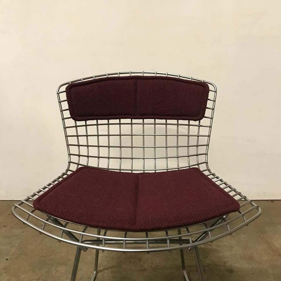 Wire Dining Chair by Harry Bertoia for Knoll Inc. / Knoll International, 1980s for sale at Pamono
