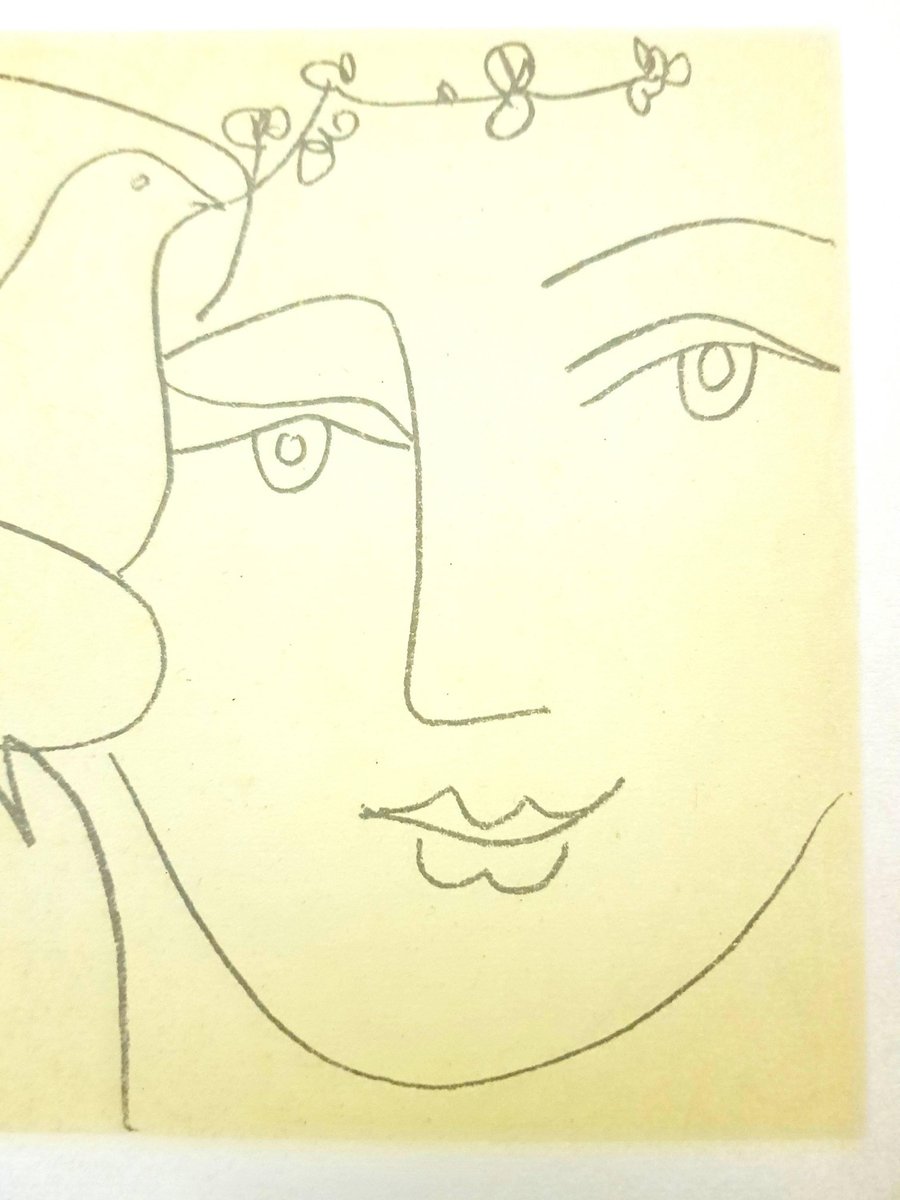 After Pablo Picasso Face Of Peace Lithograph 1951 For Sale At Pamono