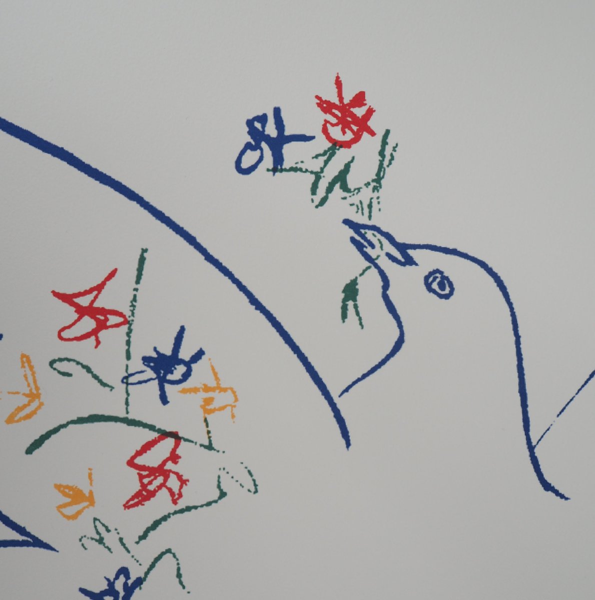 Vintage Taube Mit Blumenzweig Lithographie Nach Pablo Picasso Bei Pamono Kaufen