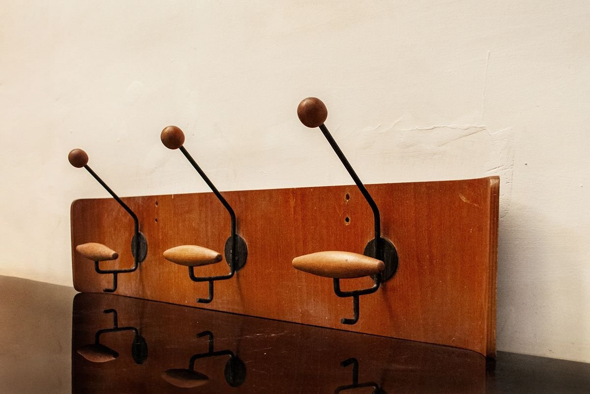 Italian Curved Plywood Coat Rack from Fratelli Reguitti, 1950s for sale at Pamono