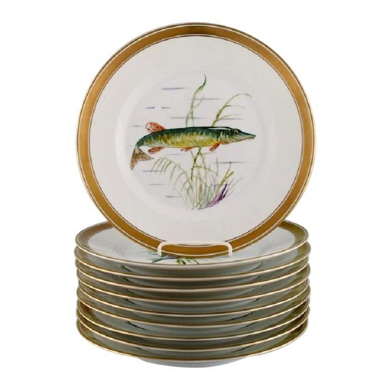 Porcelain Fish Plates with HandPainted Fish Motifs from Royal