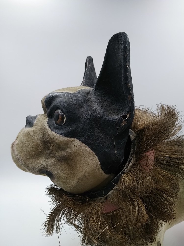 Paper Mache French Bulldog, 1900s for sale at Pamono