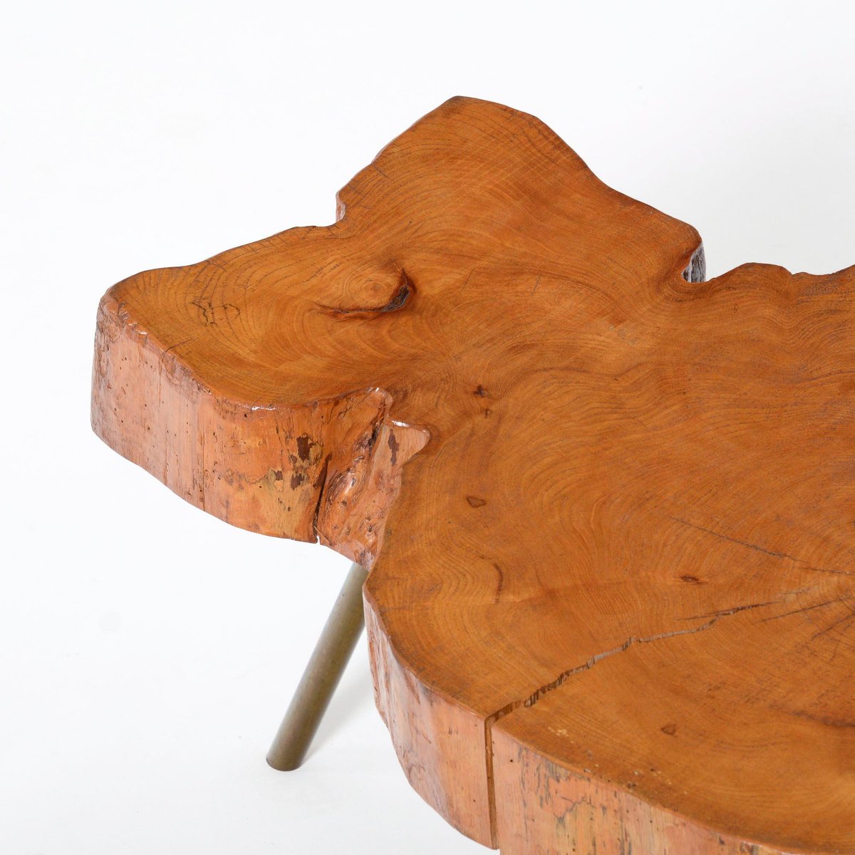 Tree Trunk Coffee Table for sale at Pamono
