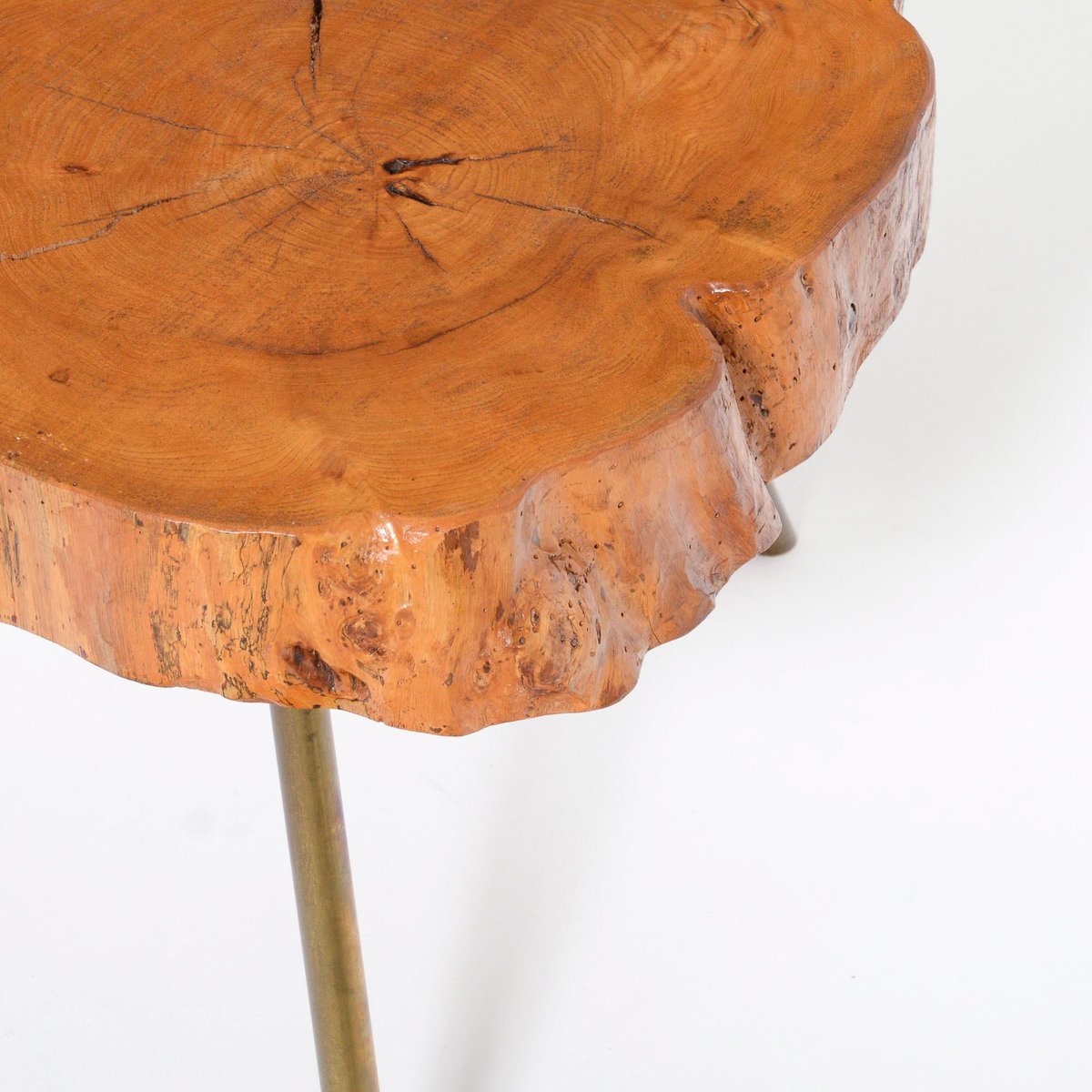 Tree Trunk Coffee Table for sale at Pamono